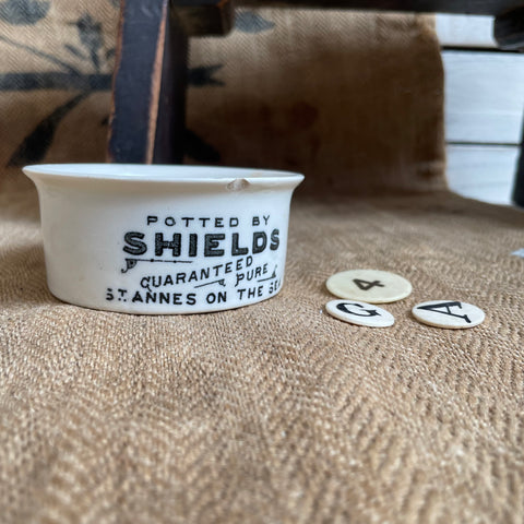 Antique Home Potted Shields Pot