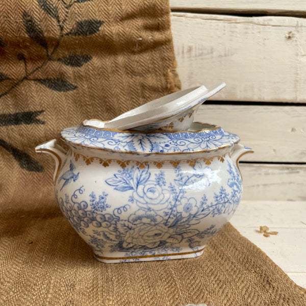 Antique Sugar Bowl Pot