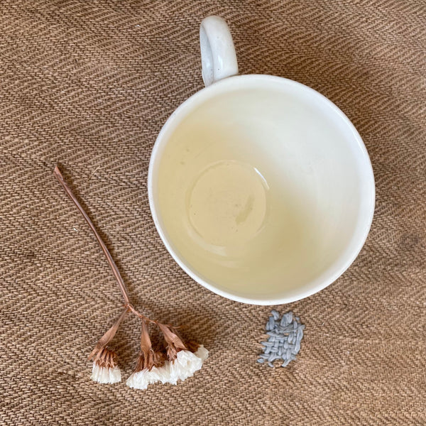 Antique RARE Lewis's Tea Cup