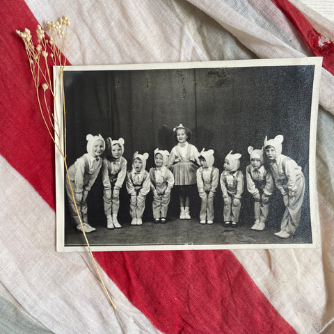 Vintage Fancy Dress Bears Photographs