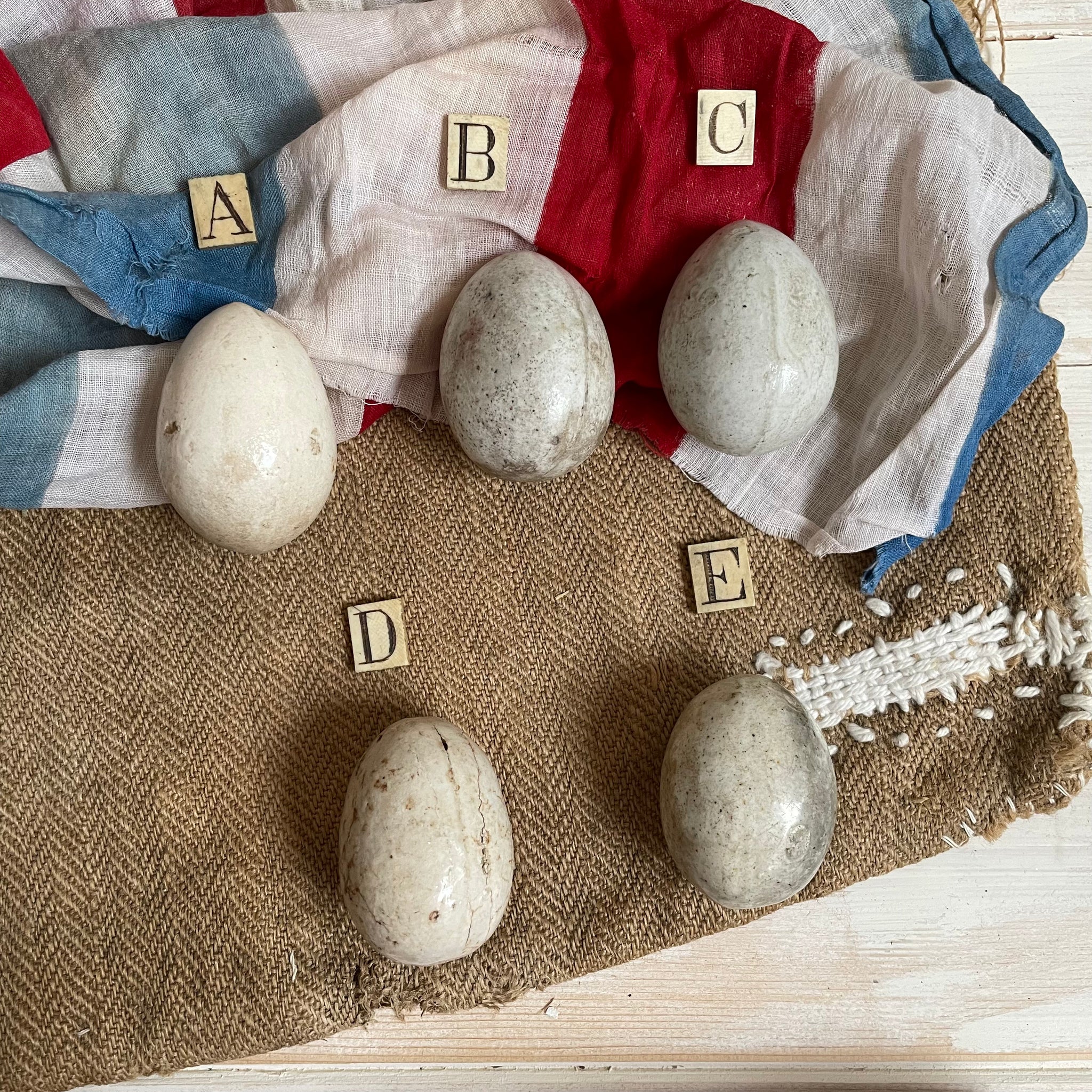 Super Rare Dummy / Brooding Eggs