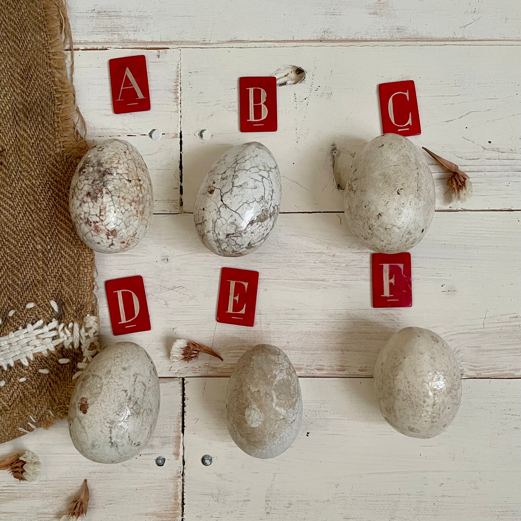Even More Super Rare Dummy / Brooding Eggs