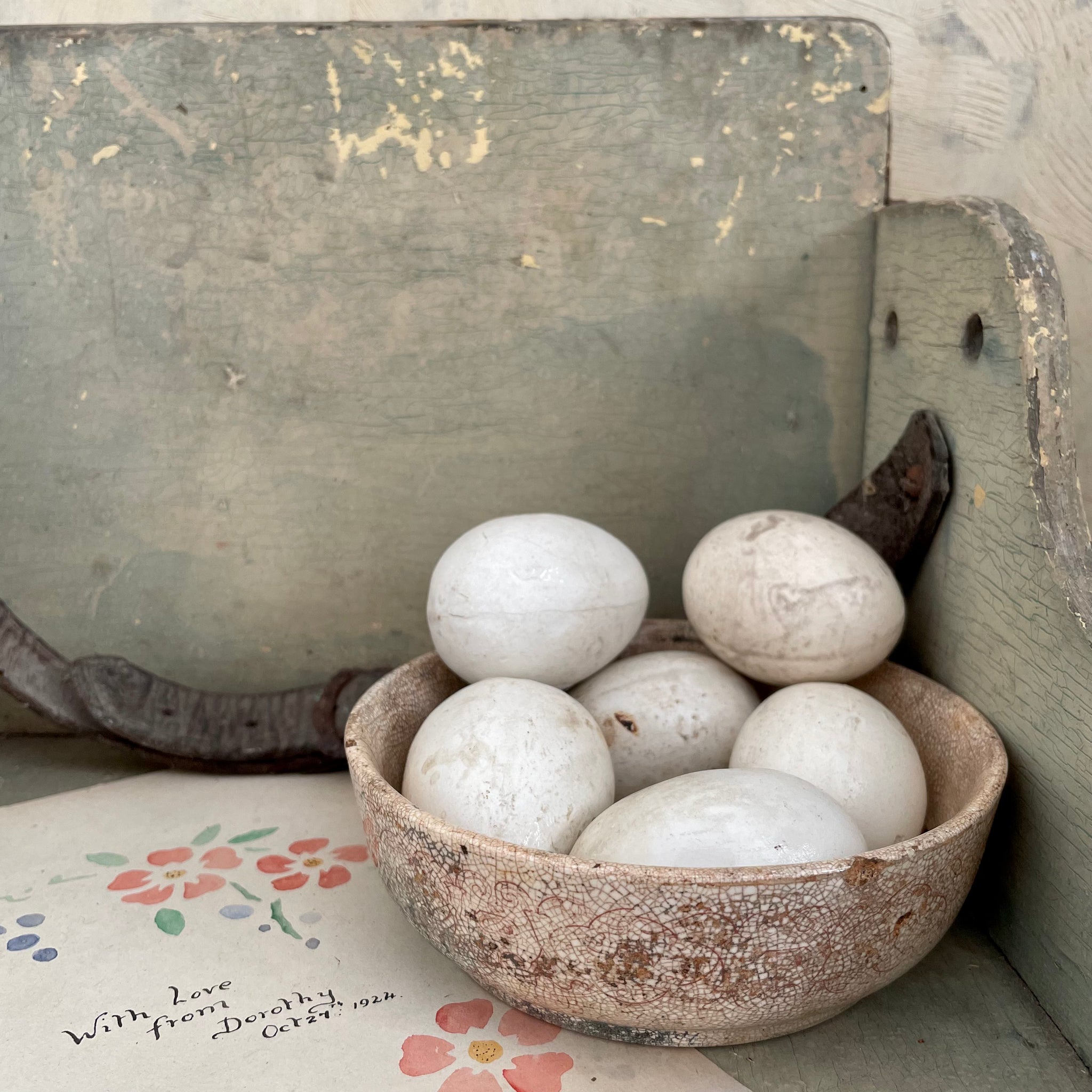 thumbnail image 2 of DummyEggs Fake Finch Eggs - 7 Plastic Eggs To Stop Brooding & Egg Laying, 5/8" X 1/2" 2 of 11