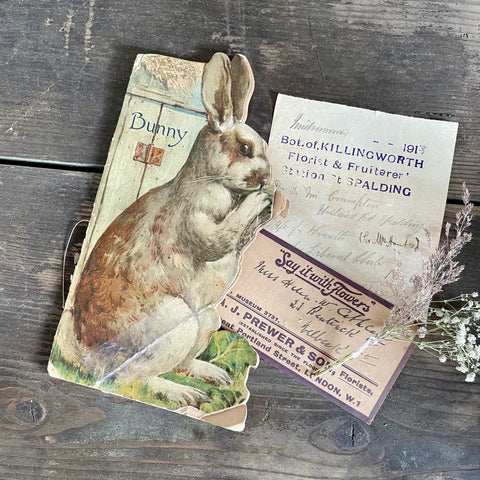 Late Victorian Bunny Book