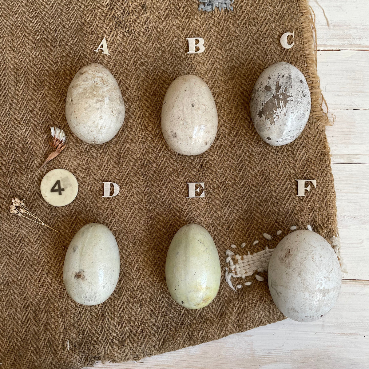thumbnail image 2 of DummyEggs Fake Finch Eggs - 7 Plastic Eggs To Stop Brooding & Egg Laying, 5/8" X 1/2" 2 of 11