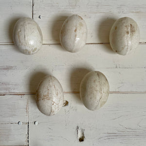 5 Broody Ceramic Eggs