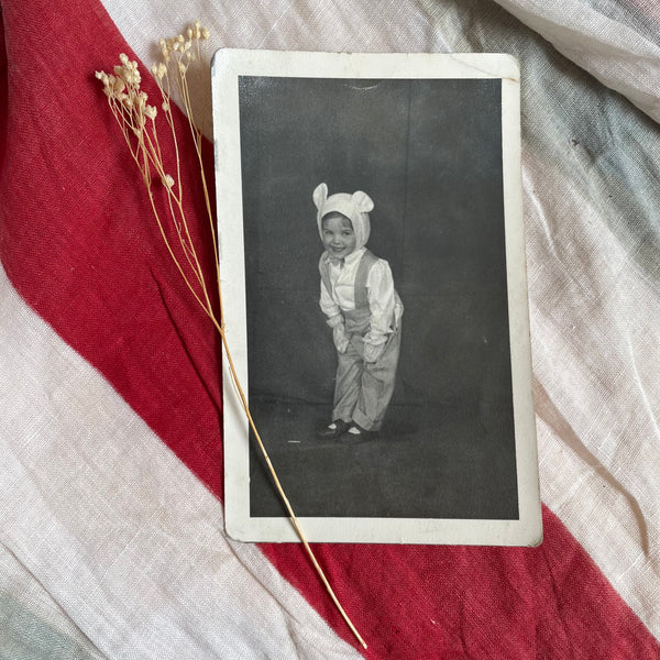 Vintage Fancy Dress Bears Photographs