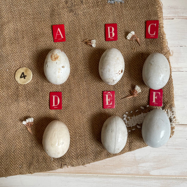Super Rare Dummy / Brooding Eggs