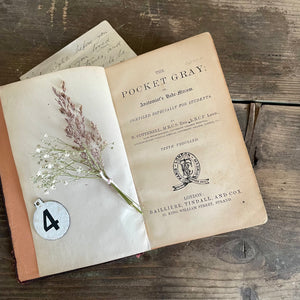 Rare Victorian Anatomist Book with Drawings