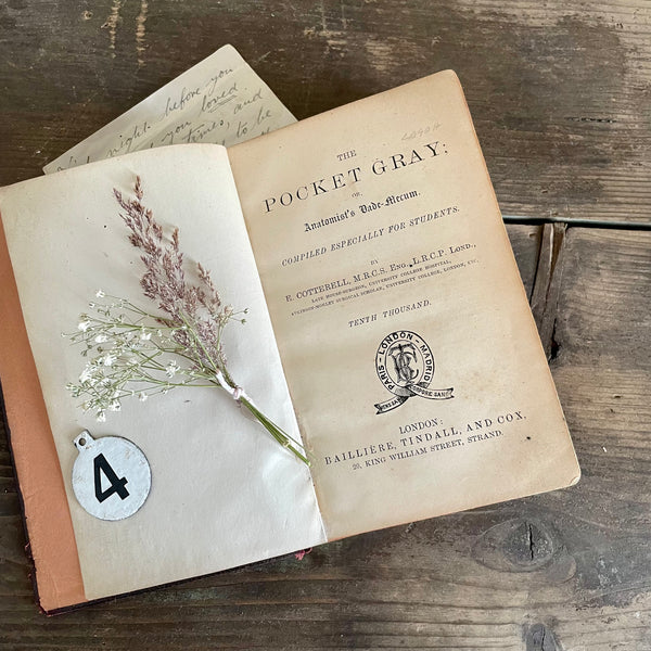 Rare Victorian Anatomist Book with Drawings