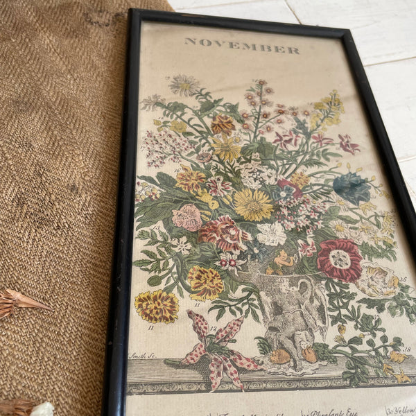 Victorian Botanical Hand Coloured Print