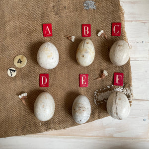 More Super Rare Dummy / Brooding Eggs