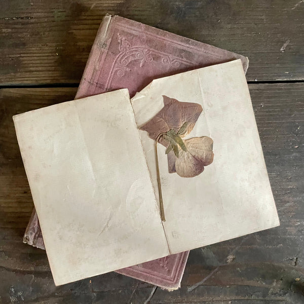 Antique Spiritual Flowers