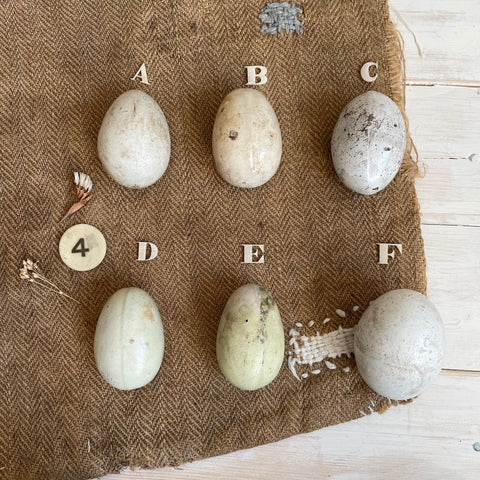 Antique Dummy / Brooding Eggs