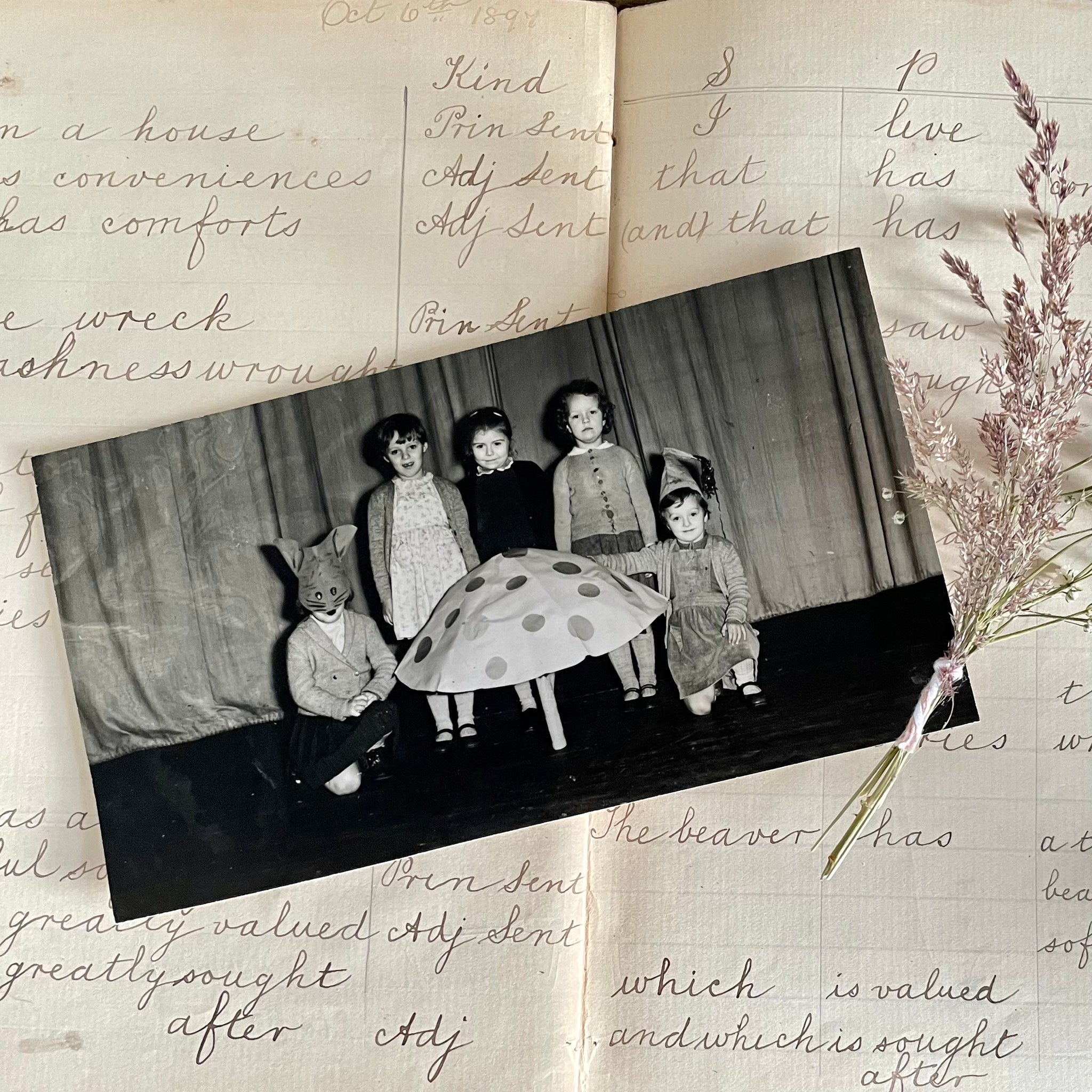 Vintage School Play Photograph