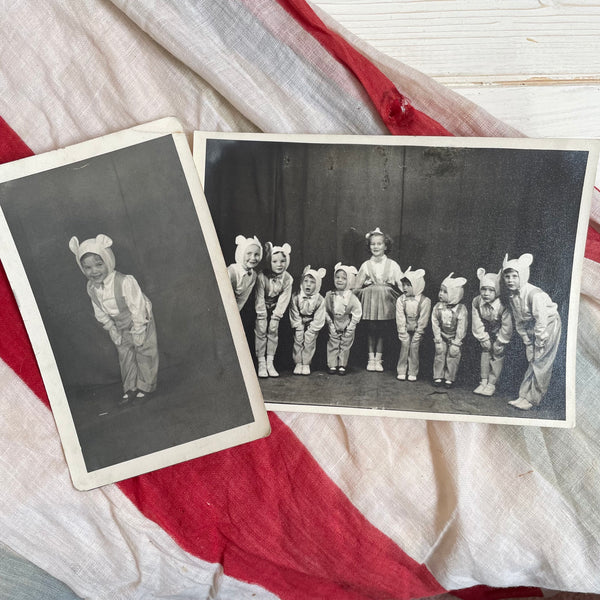 Vintage Fancy Dress Bears Photographs