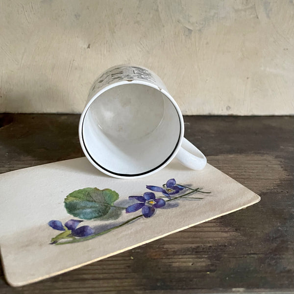 Victorian Sarah Childs Cup