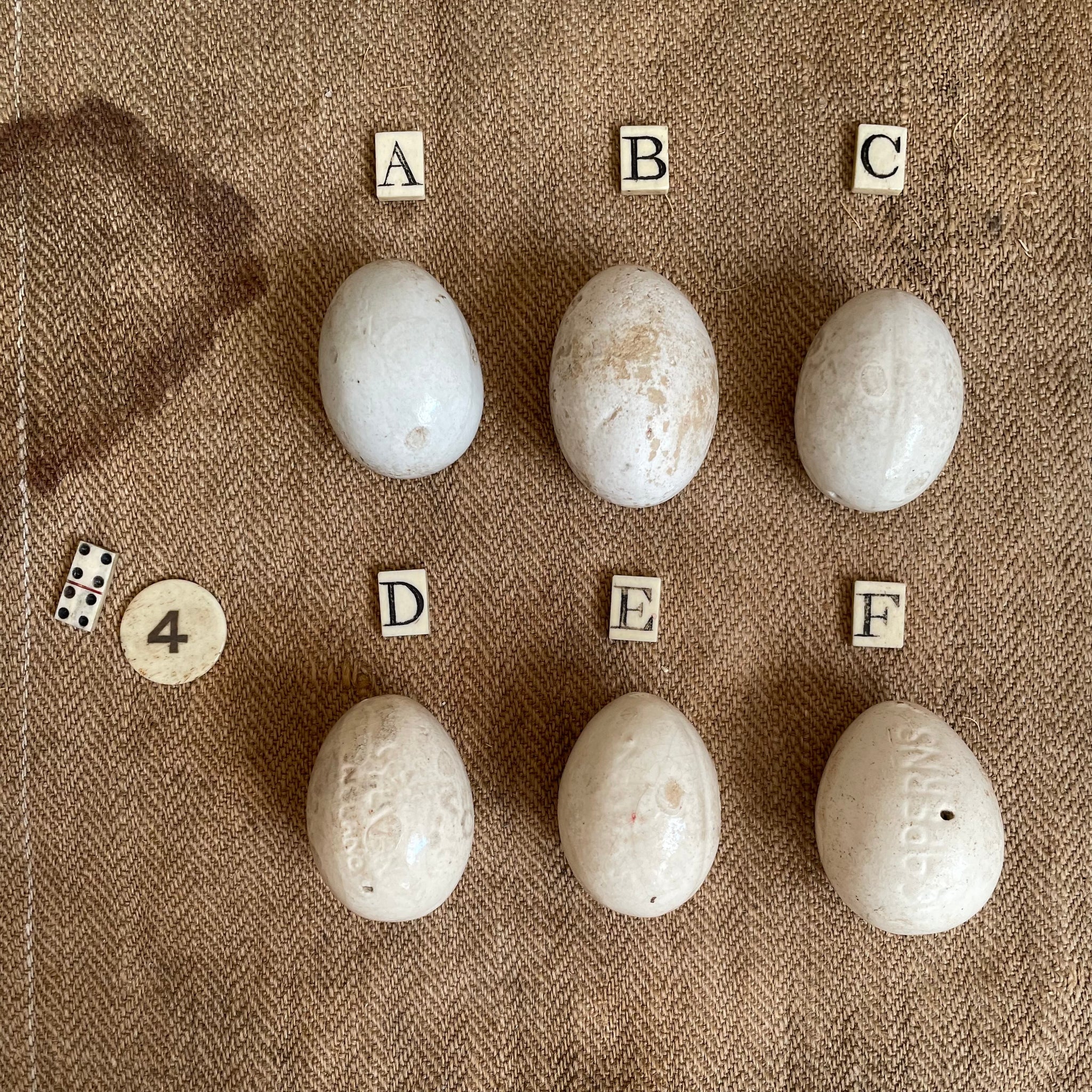 Super Rare Dummy / Brooding Eggs