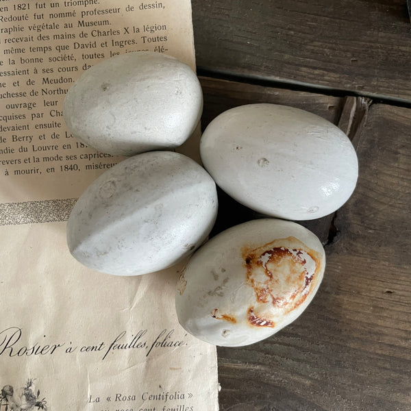 Antique Dummy / Brooding Eggs