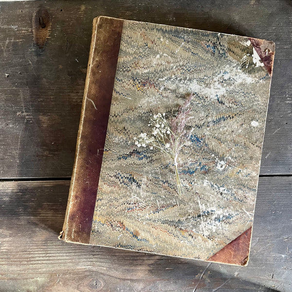 Antique Herbarium Book 1845-1863