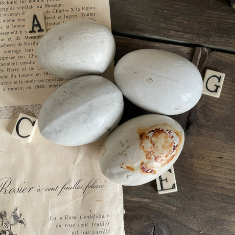 Antique Dummy / Brooding Eggs