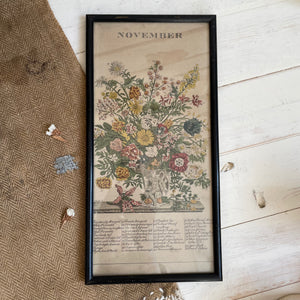 Victorian Botanical Hand Coloured Print
