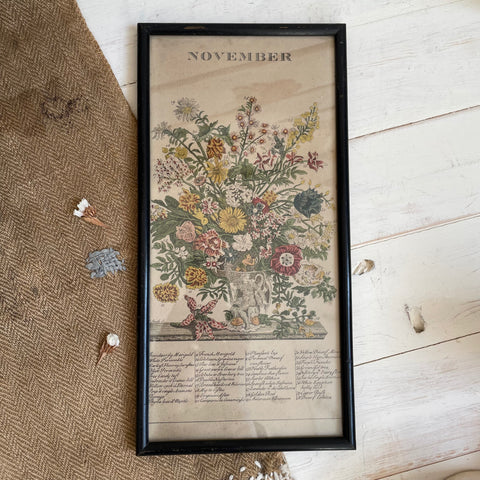Victorian Botanical Hand Coloured Print