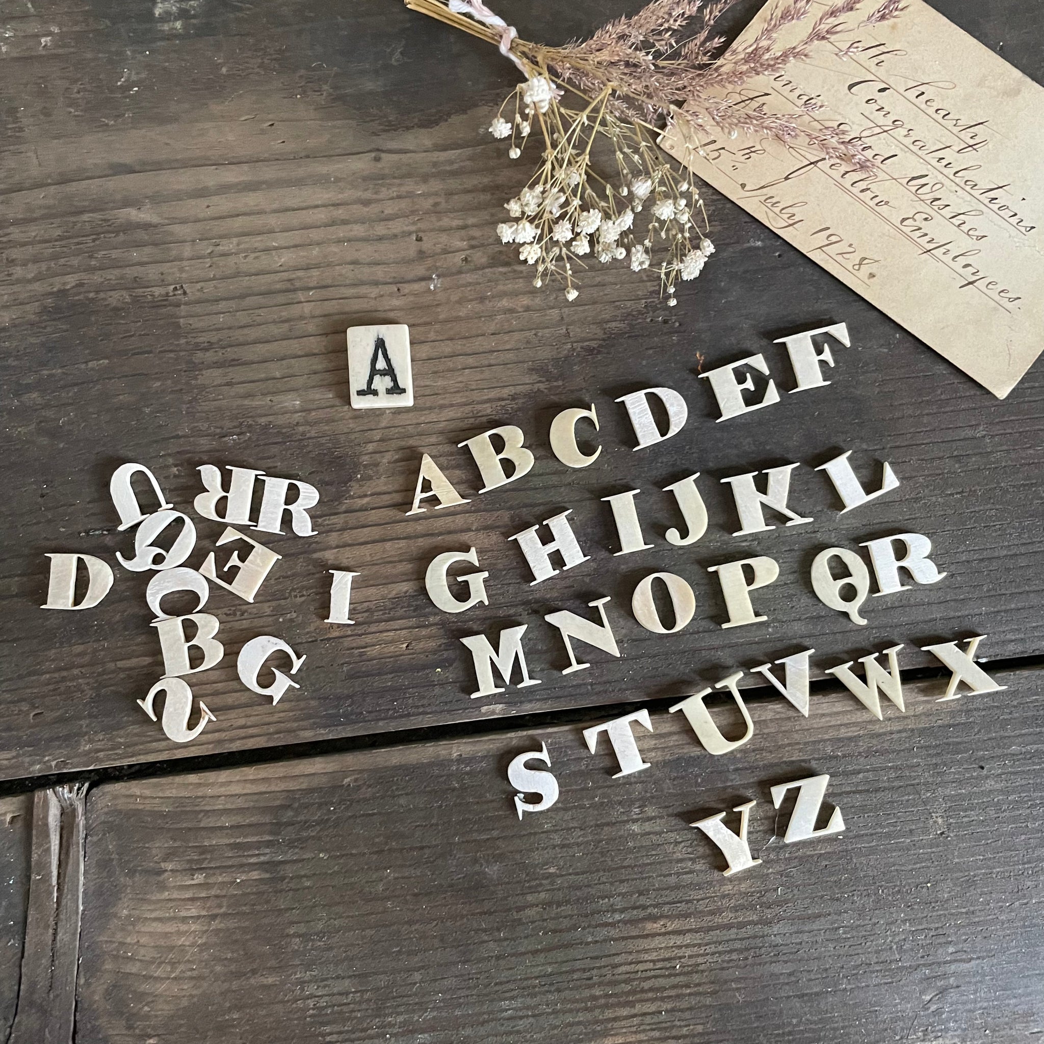 Rare Victorian Bone Carved Spelling Letters