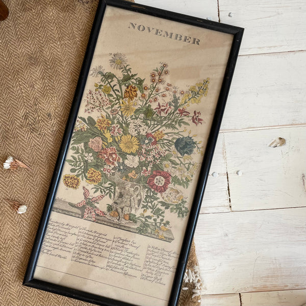 Victorian Botanical Hand Coloured Print