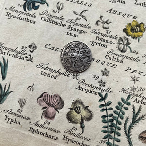 Ivy Pictorial Love Token