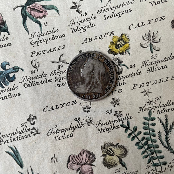 Edith Love Token