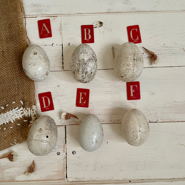 Even More Super Rare Dummy / Brooding Eggs