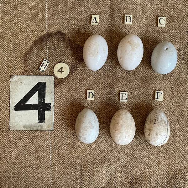 Super Rare Dummy / Brooding Eggs