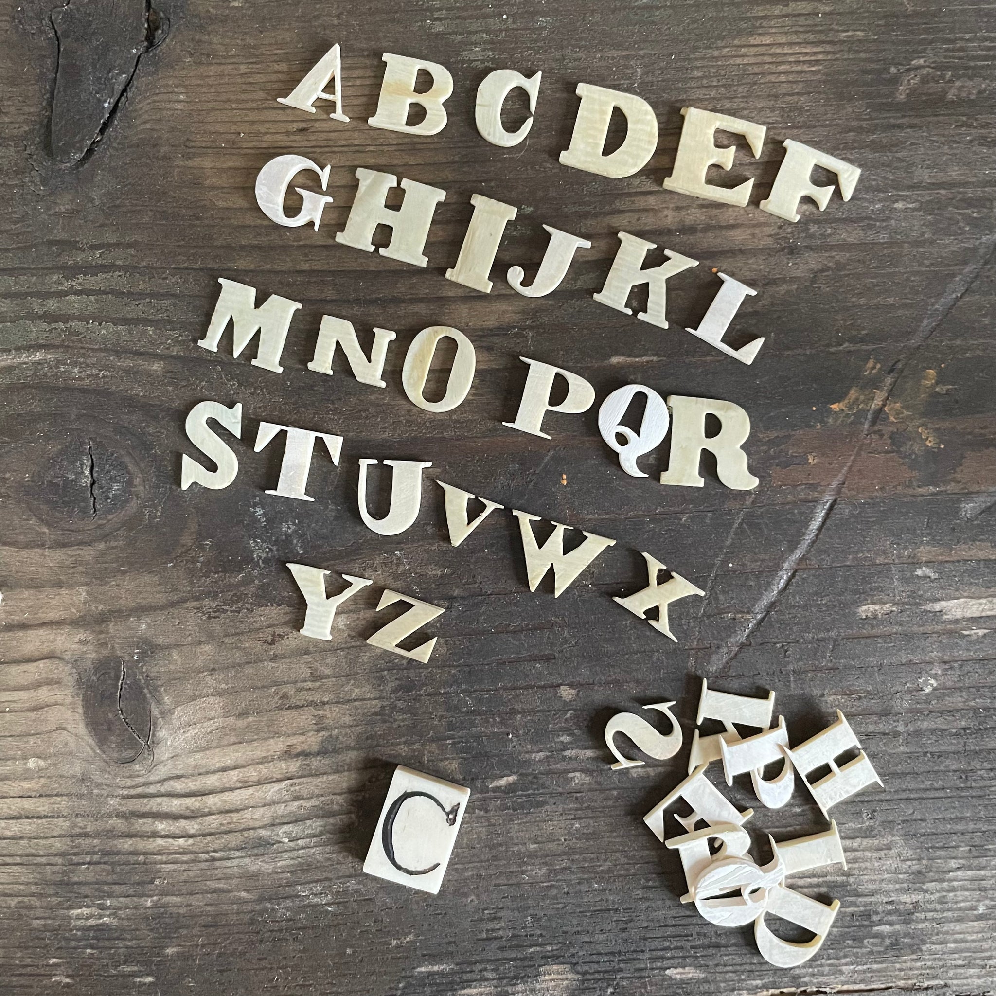 Rare Victorian Bone Carved Spelling Letter
