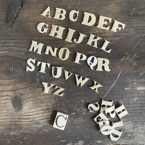 Rare Victorian Bone Carved Spelling Letter