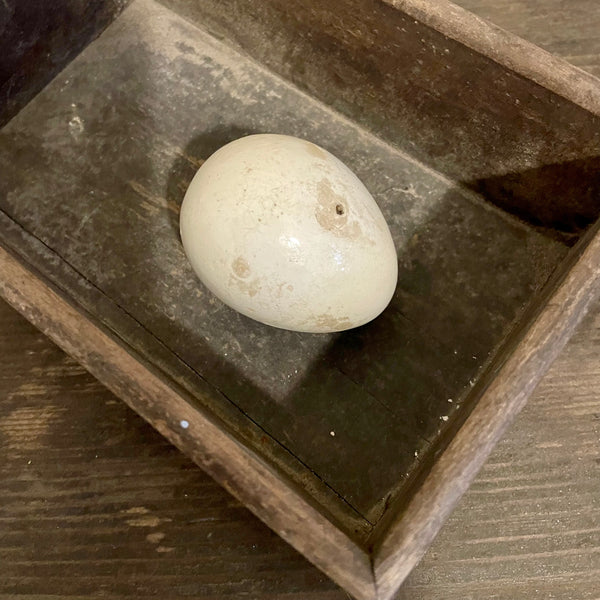 Antique Caperns Broody Ceramic Egg