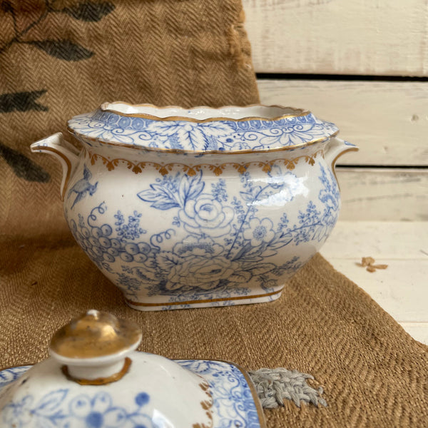 Antique Sugar Bowl Pot