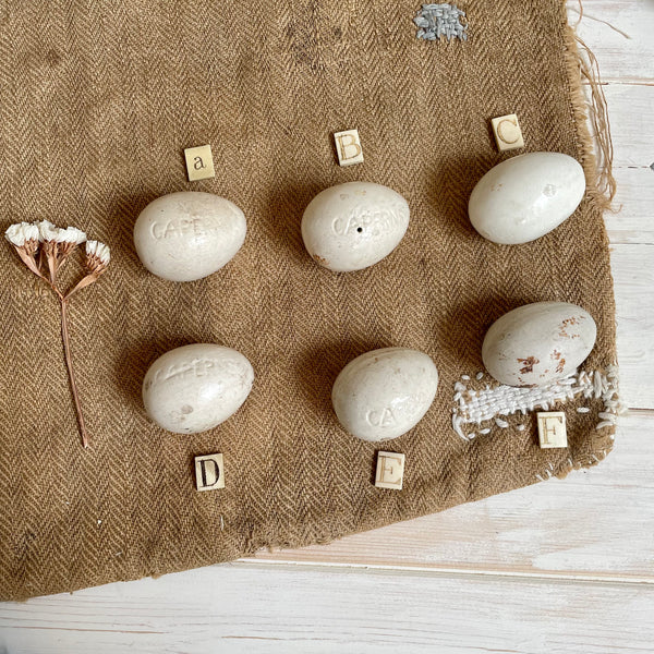 Super Rare Dummy / Brooding Eggs