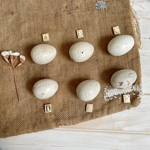 Super Rare Dummy / Brooding Eggs