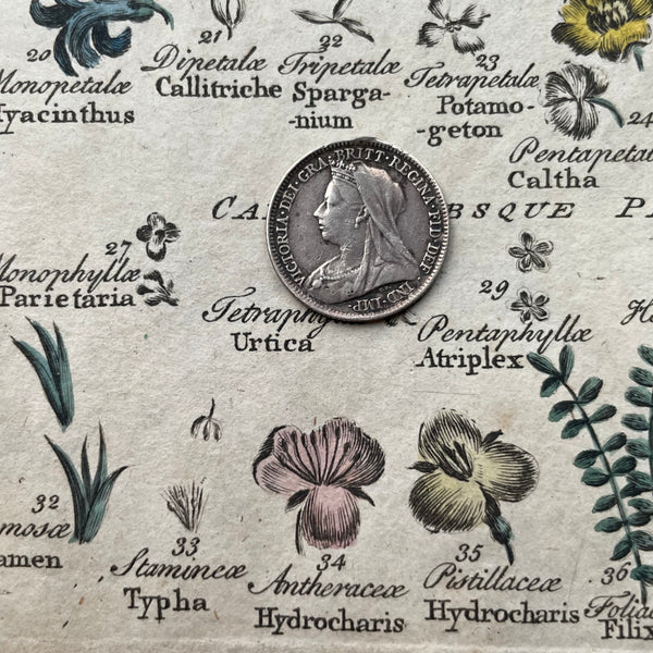 March 14th 1900 Love Token