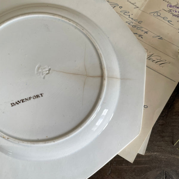 Antique Childs Staffordshire Plate