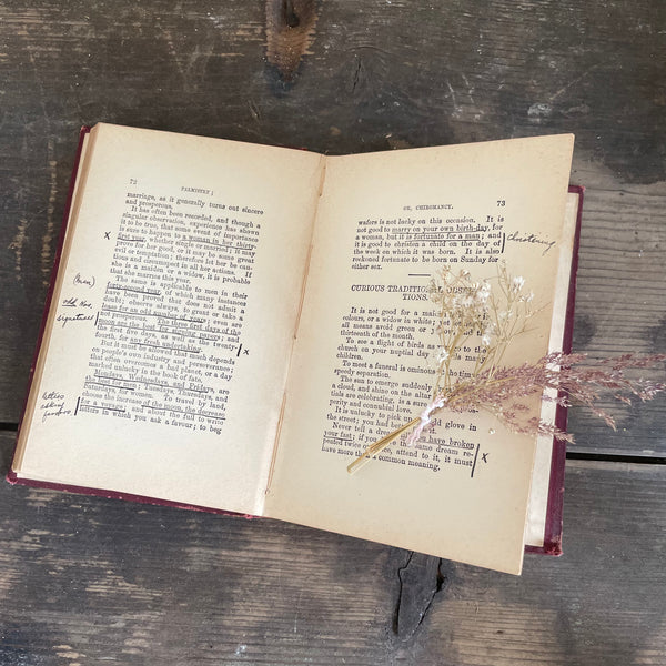 Antique Palmistry Up-To-Date Book