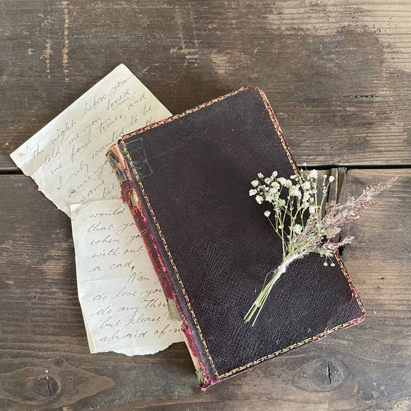 Rare Victorian Anatomist Book with Drawings