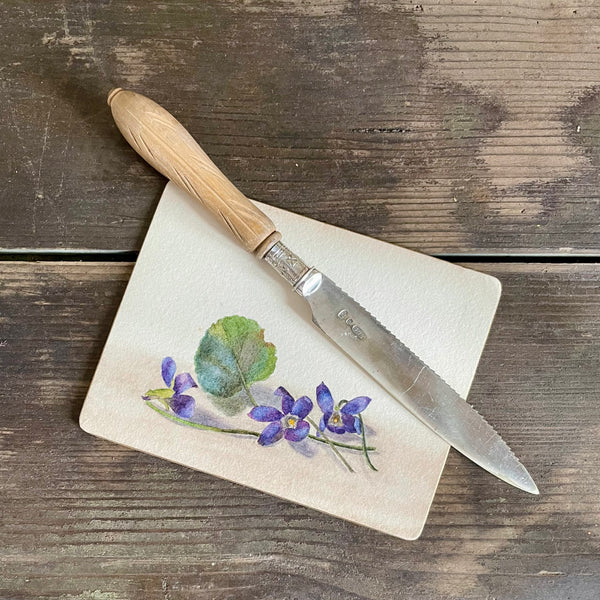 Antique Carved Handle Cake Knife