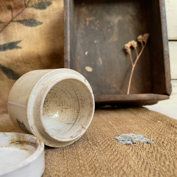 RARE Victorian Brady & Martin Chemist Pot