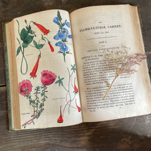 Antique 1834 Floricultural Book