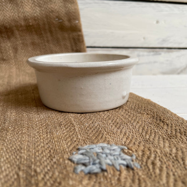 Antique Muirhead & Willcocks Pot