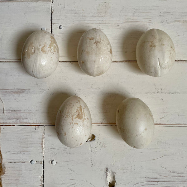 5 Broody Ceramic Eggs