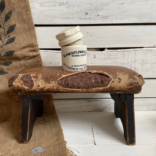 Victorian Blanchflower & Sons Pot